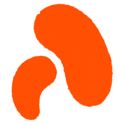 A stylized image of two orange kidney bean shapes. The larger shape is positioned to the top right, while the smaller shape is to the bottom left, creating a dynamic and abstract composition against a plain background.