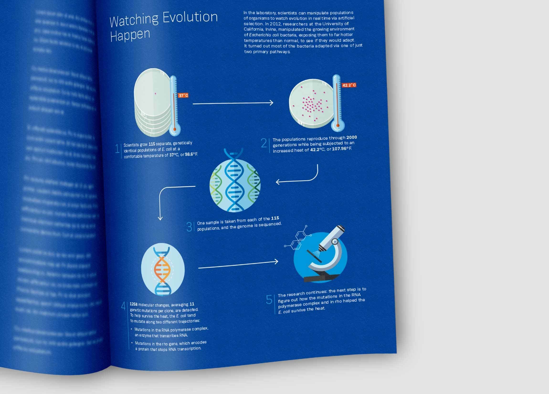 A printed page featuring a diagram titled "Watching Evolution Happen" with blue background. The diagram includes a petri dish, DNA representations, and step-by-step text explaining an evolution experiment. The book is open and tilted slightly to the right.