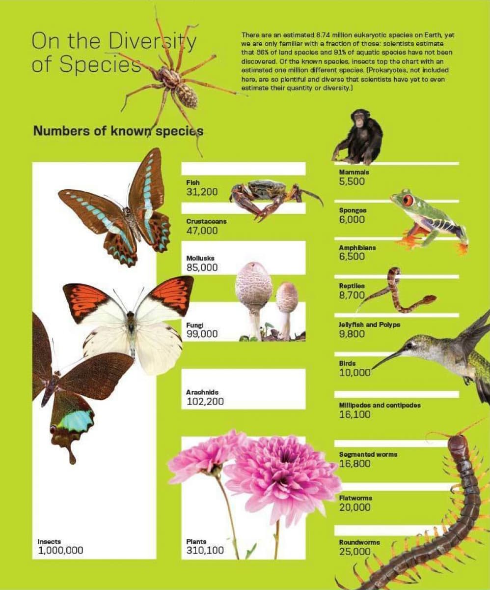 An infographic titled "On the Diversity of Species" shows the estimated numbers of various species. Numbers include, for example, 1,000,000 insects, 47,000 crustaceans, and 10,000 birds. Illustrations of species accompany each category, with text briefly discussing diversity.