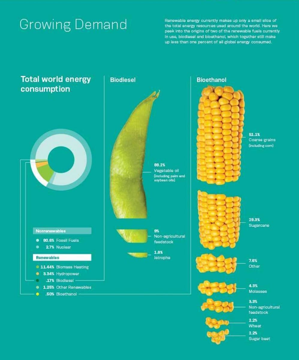 An infographic on "Growing Demand". It shows a renewable energy consumption pie chart: Fossil Fuels 80%, Nuclear 2.7%, Renewables 10%. Biodiesel sources: 69.2% soya, 25.9% non-agri, 0.15% jatropha. Bioethanol sources: 60.3% grains, 29.9% sugarcane, 3.9% molasses.