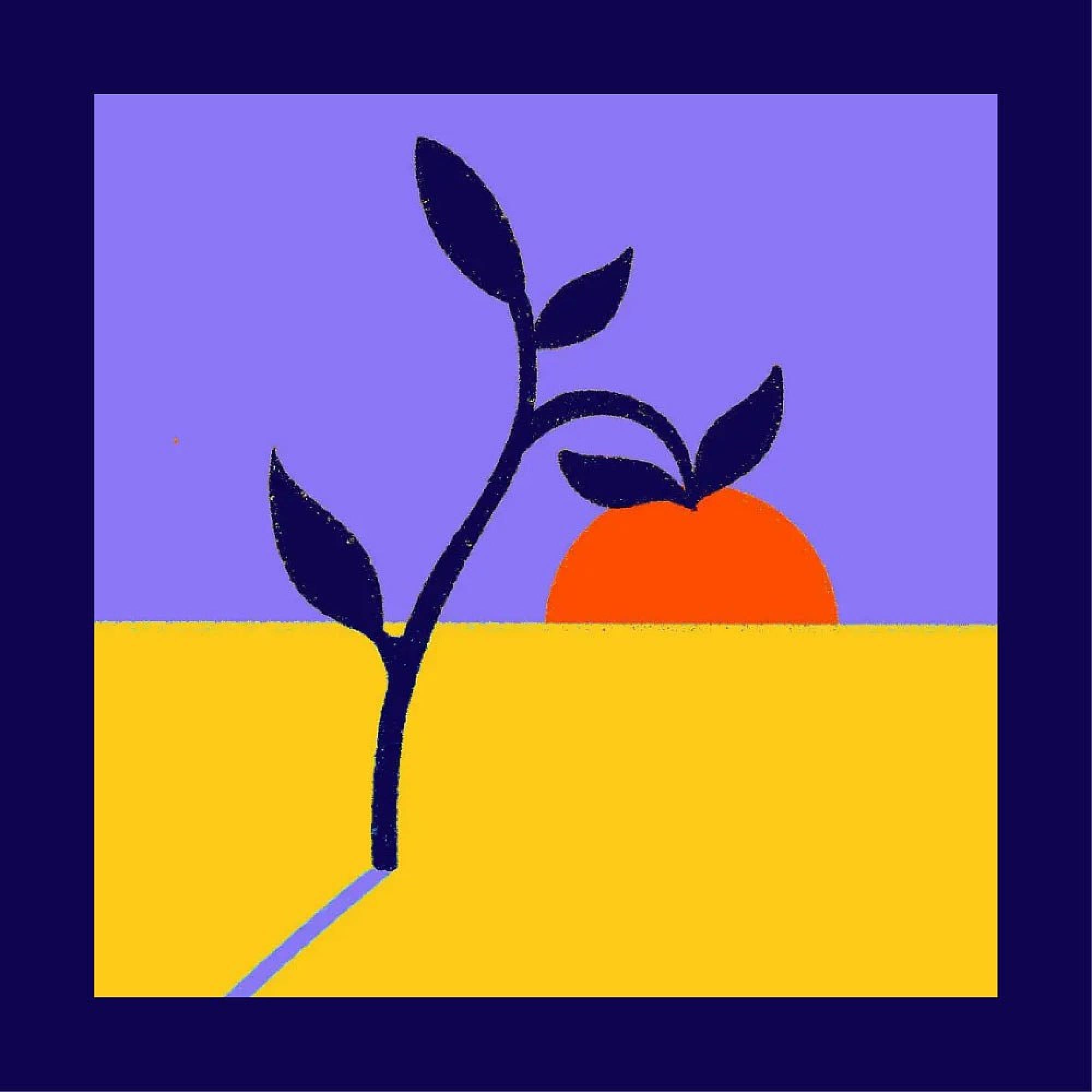 A minimalist illustration of a dark blue plant with four leaves on yellow ground, set against a purple sky with an orange sun partially visible on the horizon. The image is framed by a thick dark blue border.