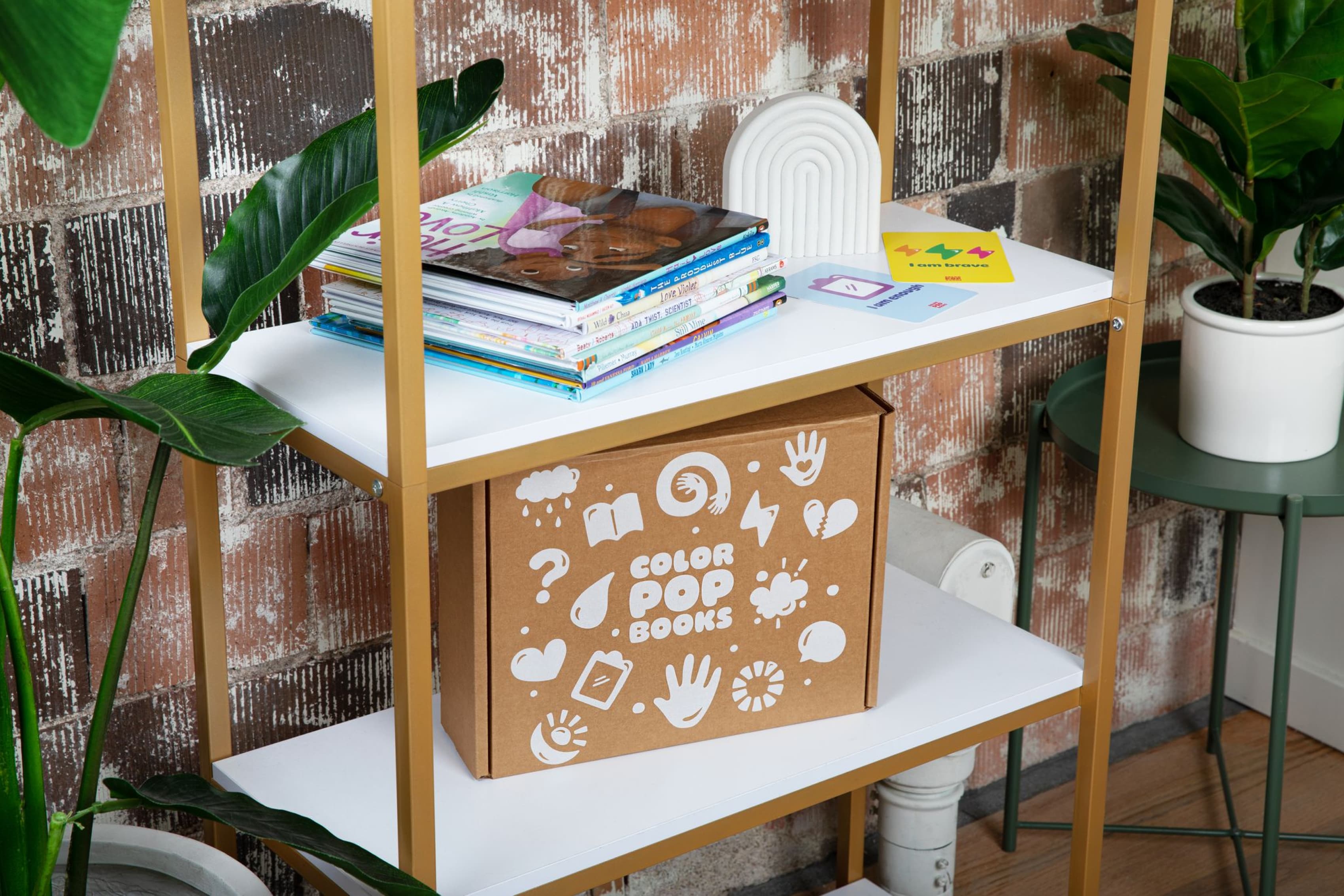 A neatly organized shelf with plants and books. The middle shelf holds a brown cardboard box labeled "Color Pop Books" with various white icons. The top shelf has a stack of magazines, a white decorative object, and colorful cards. A green plant is on the lower shelf beside the box.