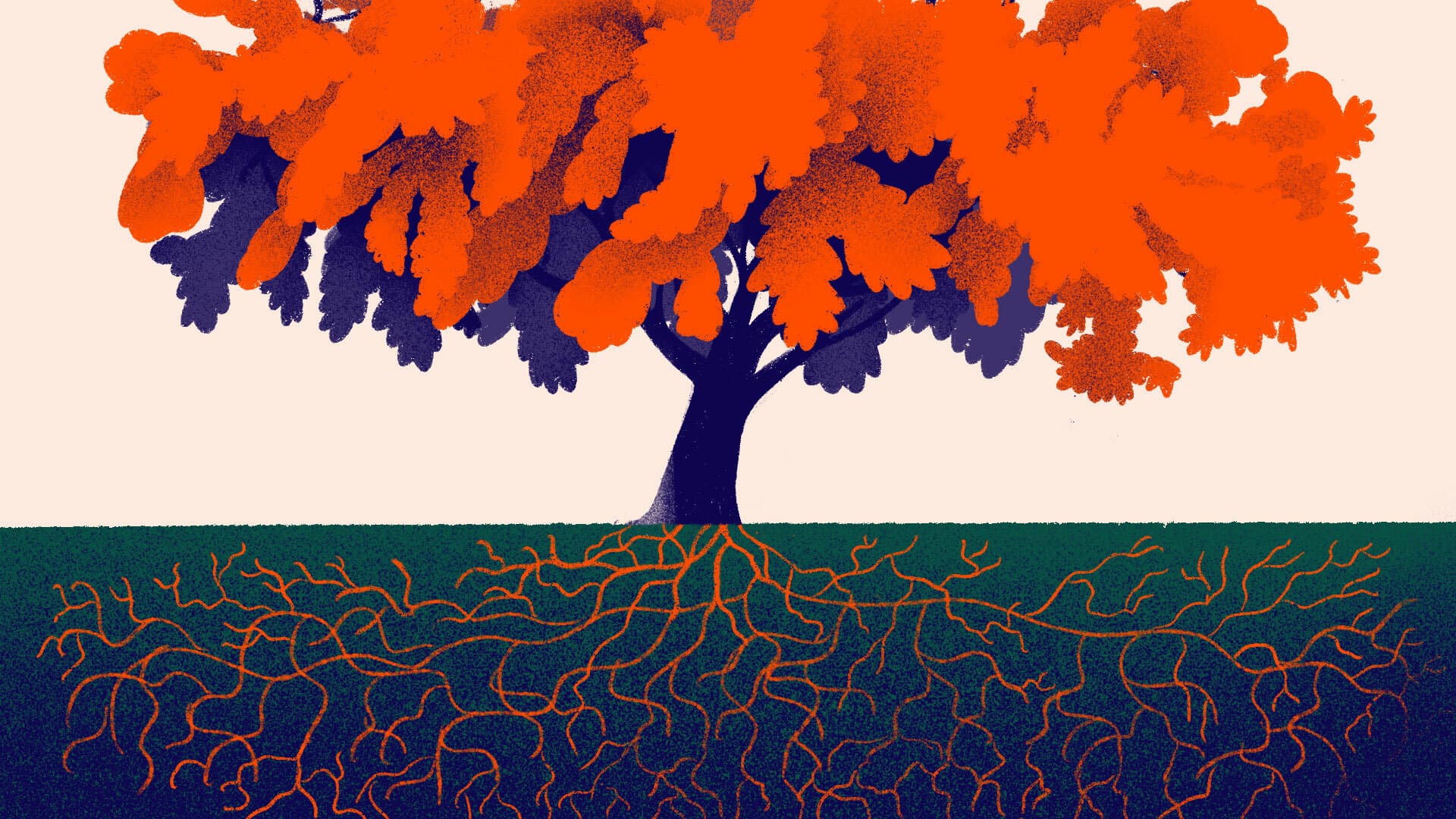 An illustration of a tree with a dark trunk and bright orange foliage stands against a light background. The visible roots spread extensively underground, mirroring the tree's branching pattern above, blending into a greenish ground.