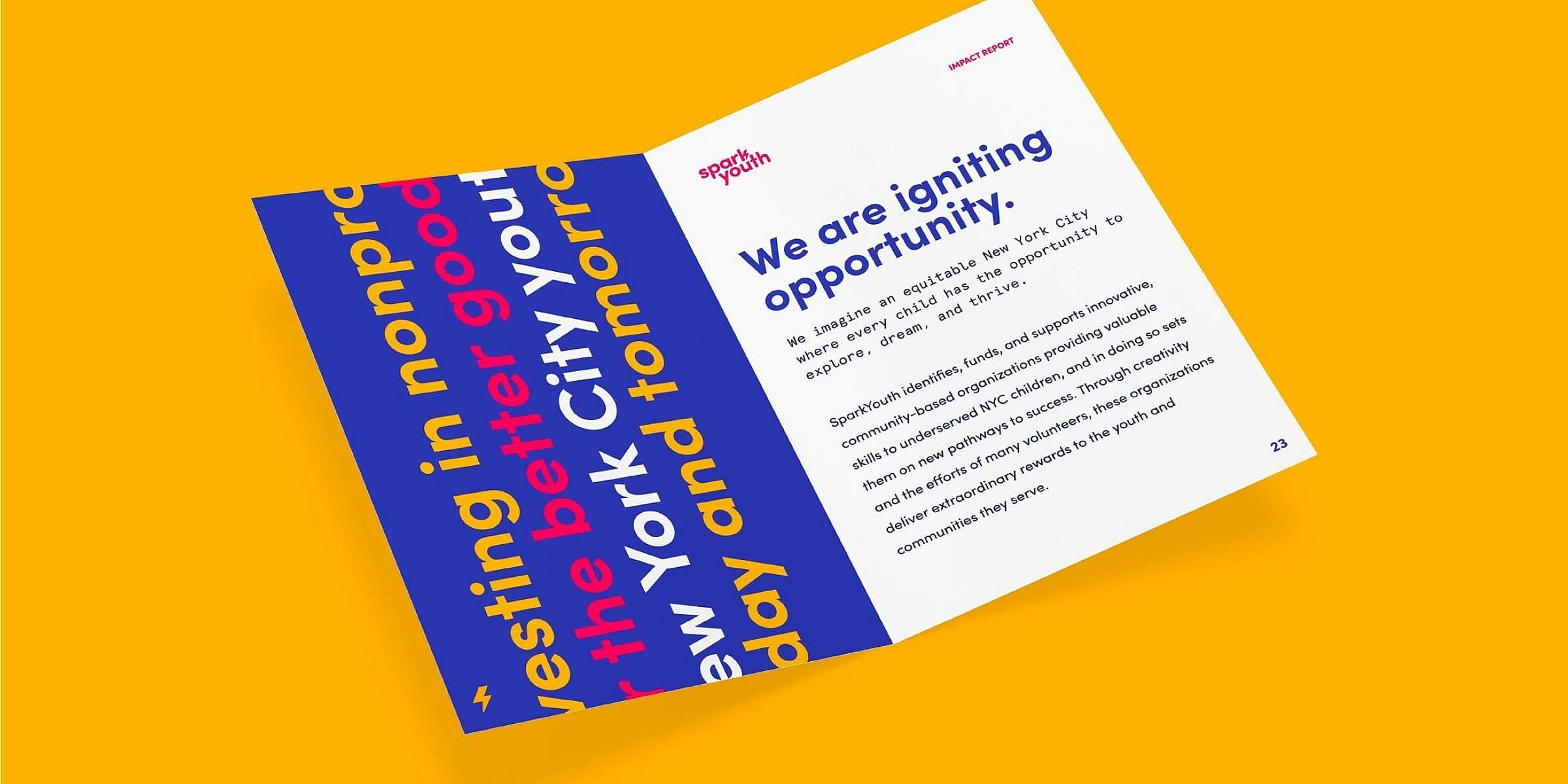 An open booklet displayed on a yellow background. The left page displays bold, colorful text that is partially cut off, stating, "Vesting in nonpro... good New York City to... day and tomorro...". The right page, titled "We are igniting opportunity," contains a detailed paragraph of text.