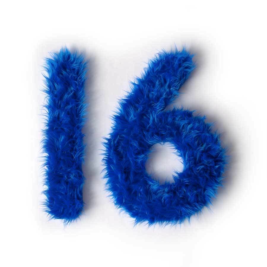 The number "16" is formed using blue, fluffy feathers against a plain white background.