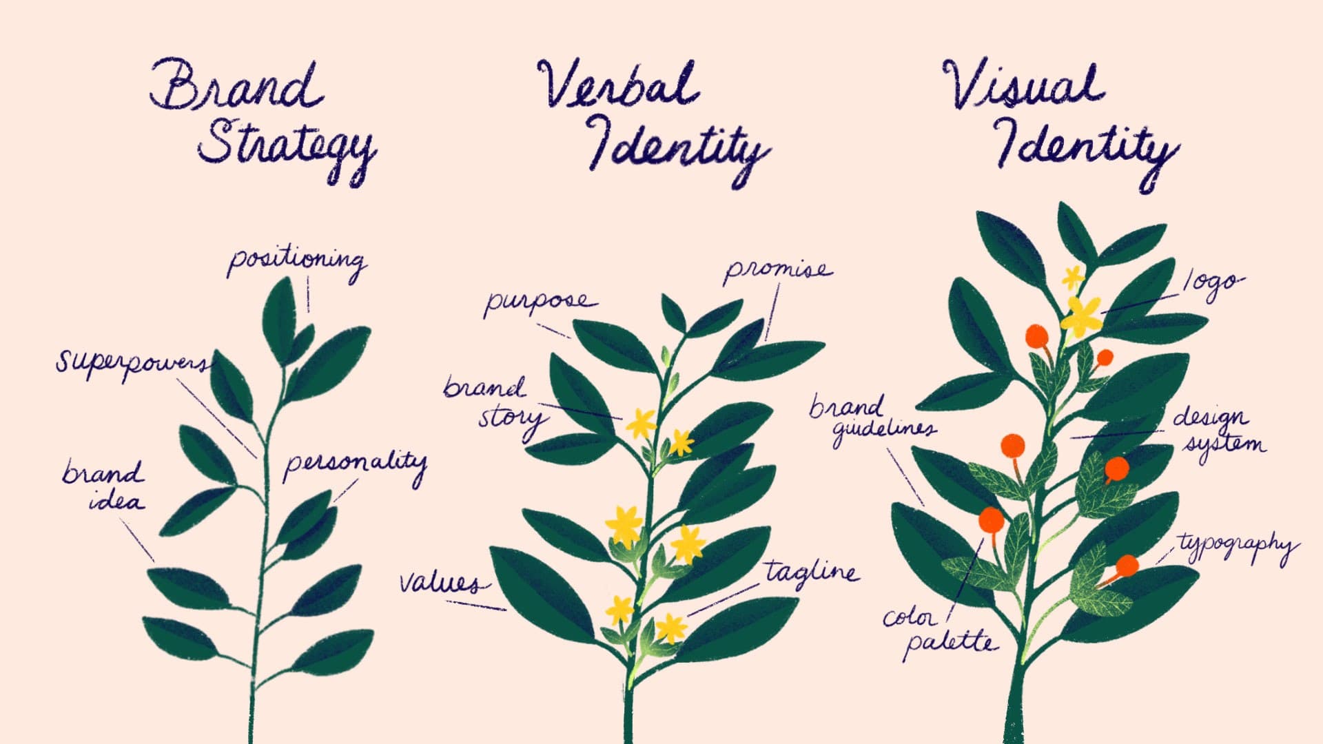 Illustration of three plants representing brand elements: "Brand Strategy" with leaves labeled position, superpowers, personality, brand idea, values; "Verbal Identity" with promise, purpose, story, tagline; "Visual Identity" with logo, guidelines, palette.