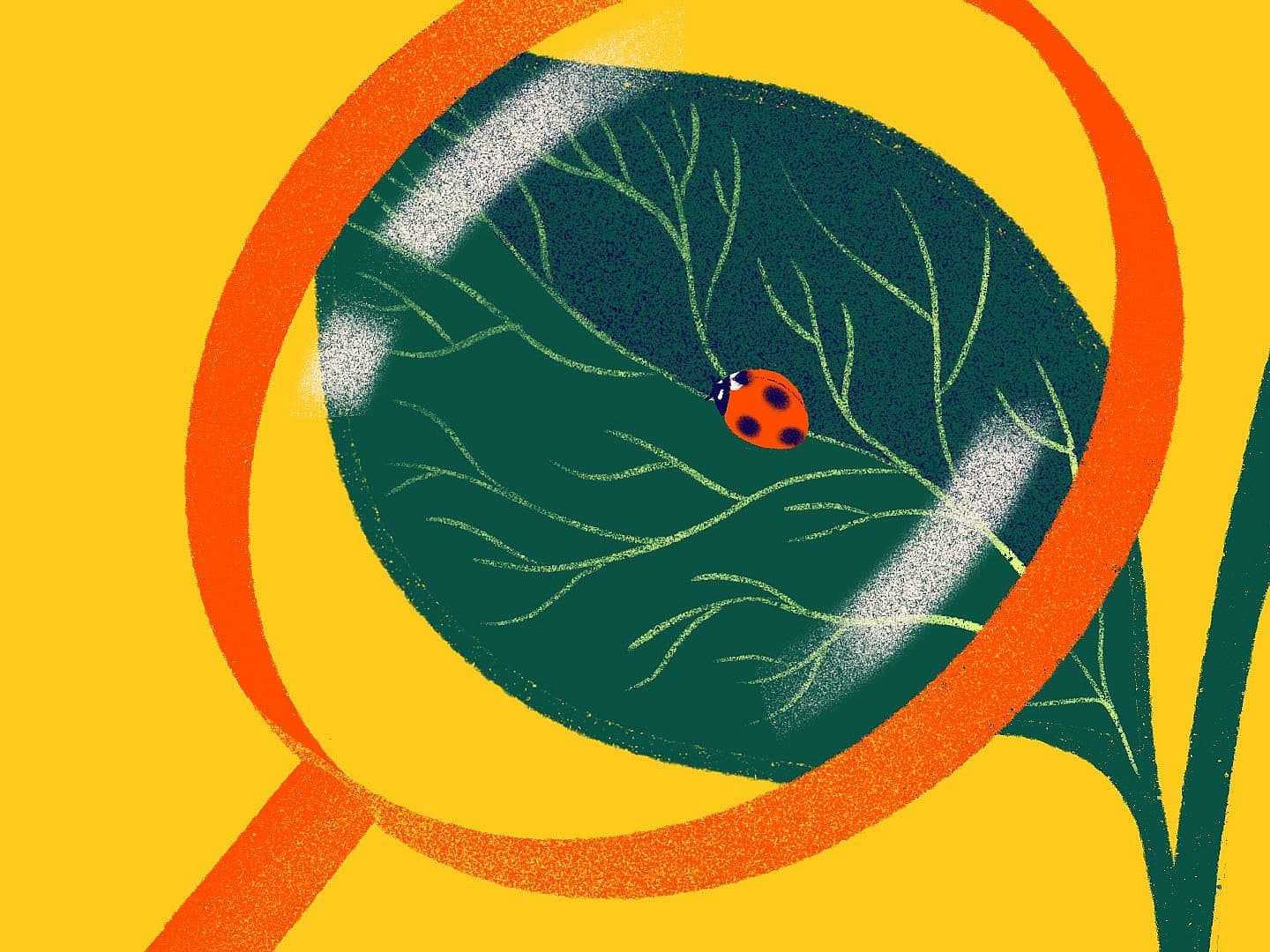 Illustration of a large orange magnifying glass focusing on a green leaf with a small red and black ladybug. The background is bright yellow, highlighting the detailed leaf veins and the insect.