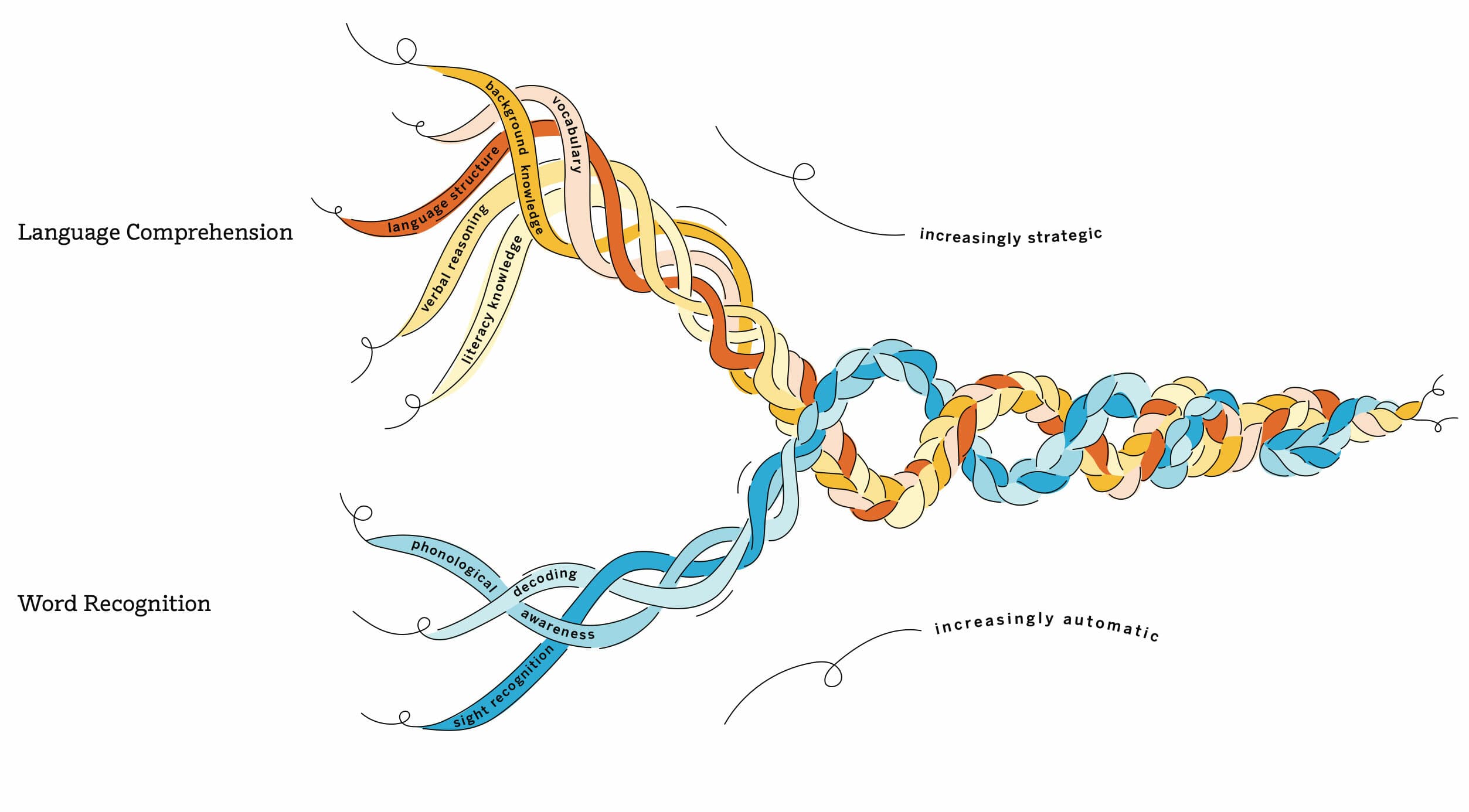 A diagram illustrating reading comprehension using two strands: Language Comprehension and Word Recognition. The strands intertwine, moving from 'increasingly automatic' to 'increasingly strategic' processes, including vocabulary, background knowledge, and phonics.