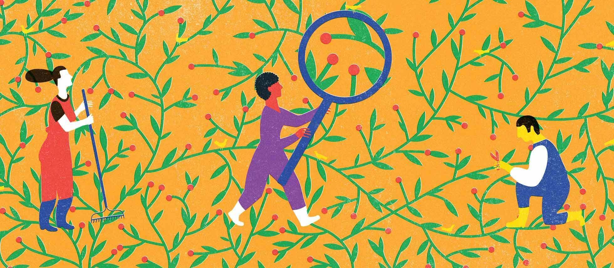Illustration of three people in colorful outfits interacting with large, abstract plant vines. One person stands with a notepad, another examines a plant through a magnifying glass, and the third kneels, closely inspecting a vine. The background is bright orange.
