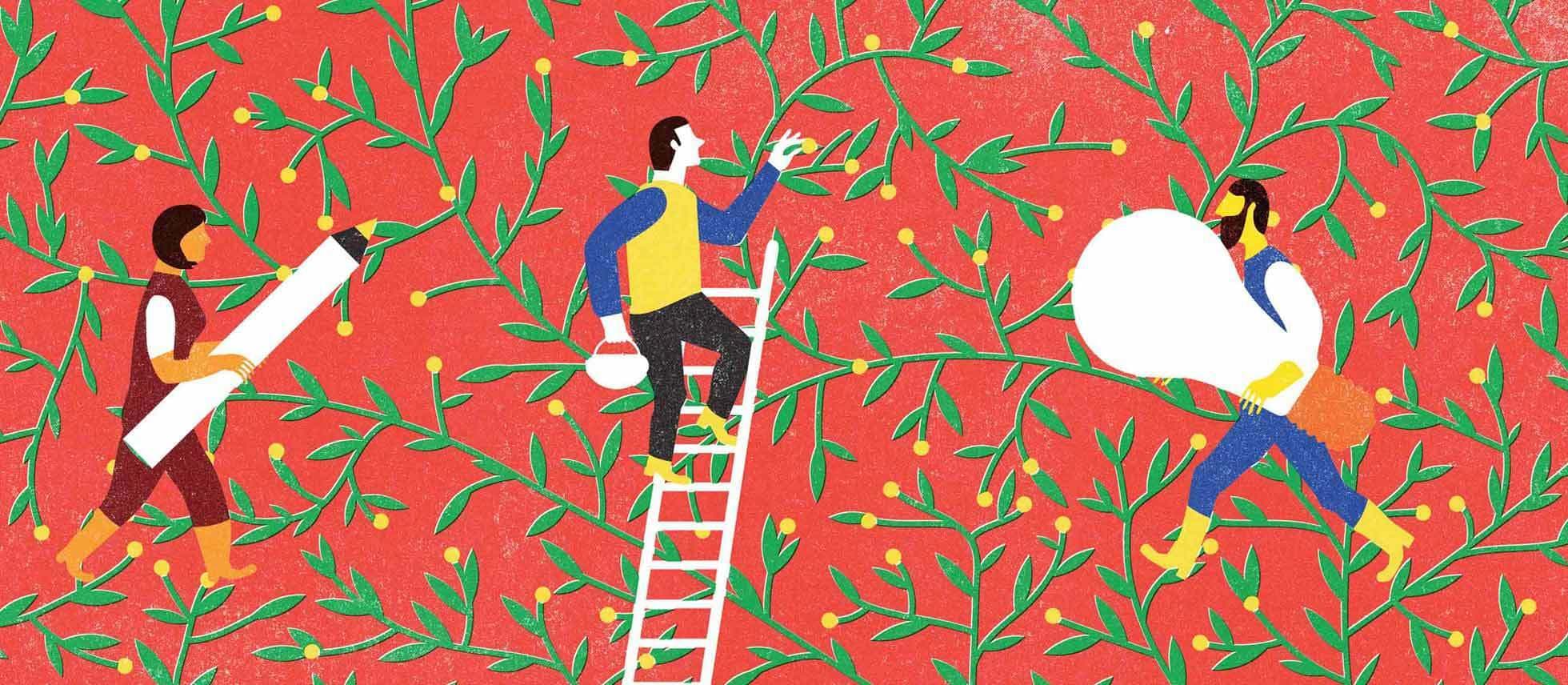 An artistic illustration features three people engaged in harvesting activities amidst green leafy vines with yellow flowers on a red background. One person climbs a ladder, another carries a large cylindrical object, and the third carries a sack over their shoulder.