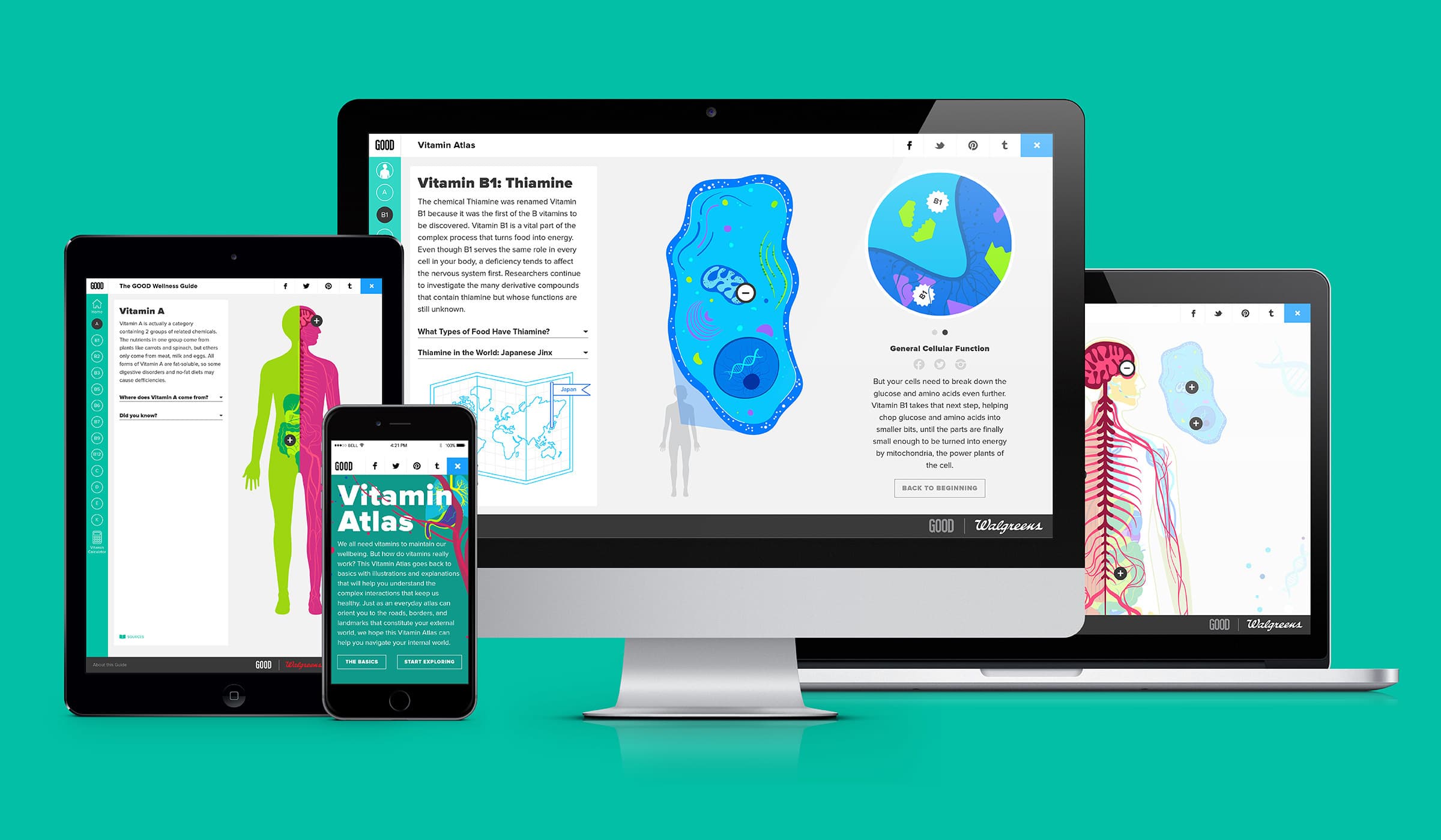 A set of electronic devices displaying educational content on vitamins. The image features a smartphone, tablet, desktop computer, and laptop with illustrations and text on anatomy, vitamin B1, and more, all against a teal background.