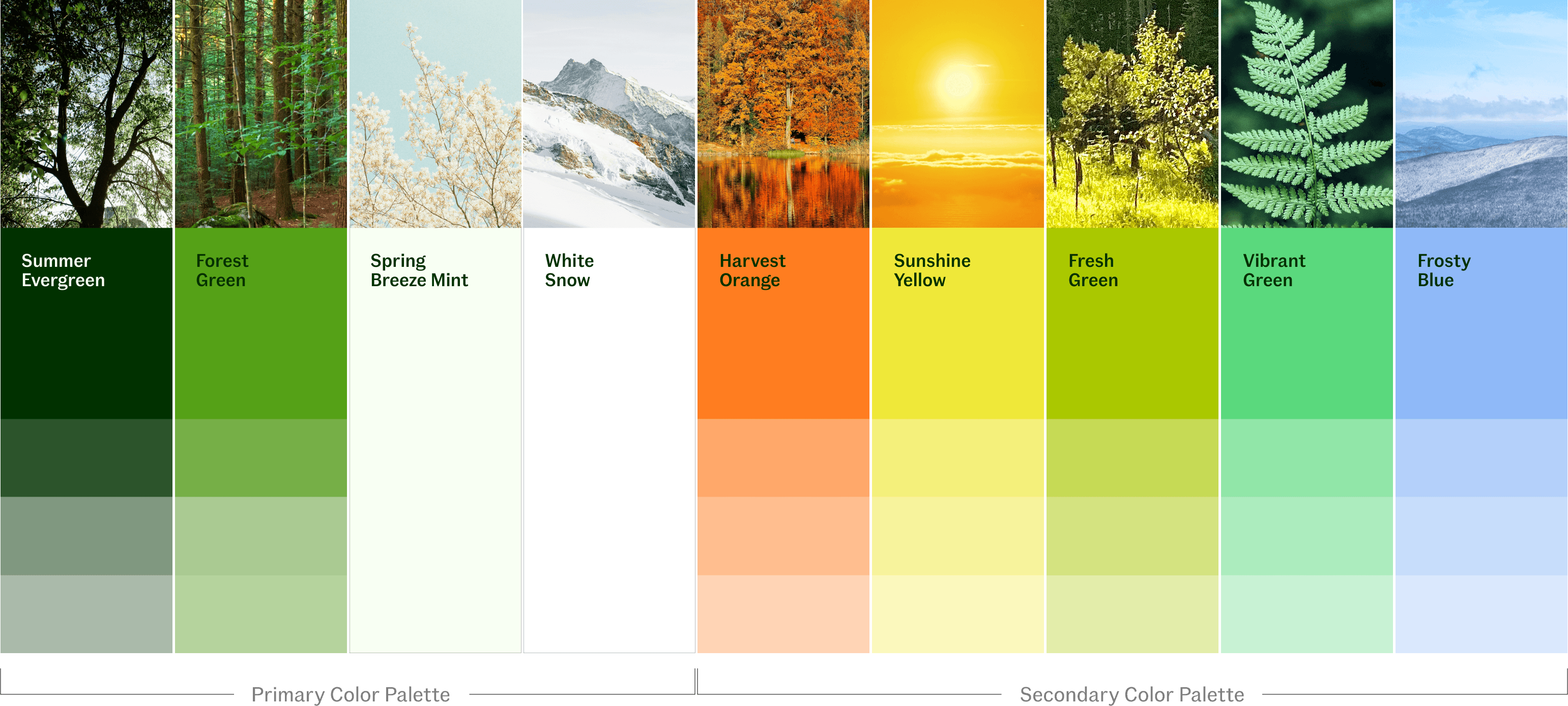 Color palette image showing a gradient of nature-inspired hues: Summer Evergreen, Forest Green, Spring Breeze Mint, White Snow, Harvest Orange, Sunshine Yellow, Fresh Green, Vibrant Green, and Frosty Blue, with coordinating scenery above each color.