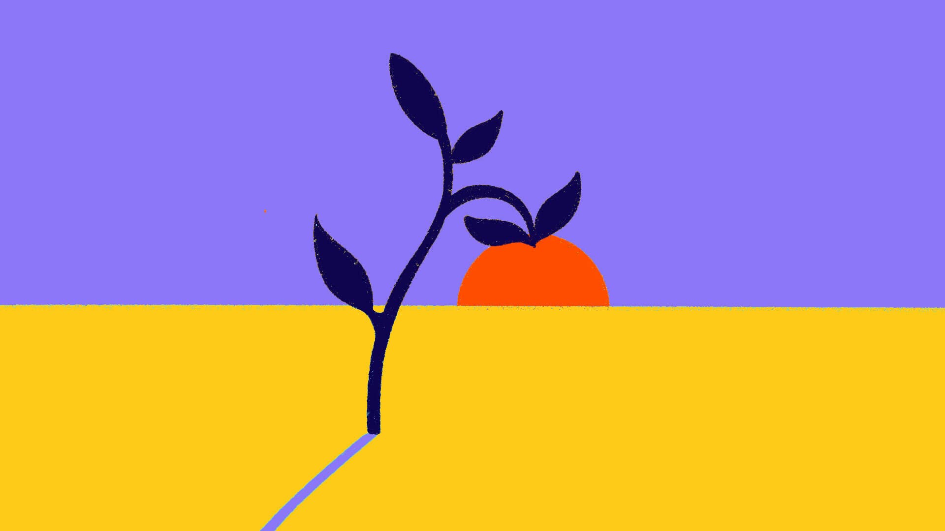 A minimalist, stylized illustration depicts a dark plant with a few leaves set against a vibrant background. The background features a purple sky and a yellow ground with an orange, sun-like shape partially peeking from behind the plant in the center.